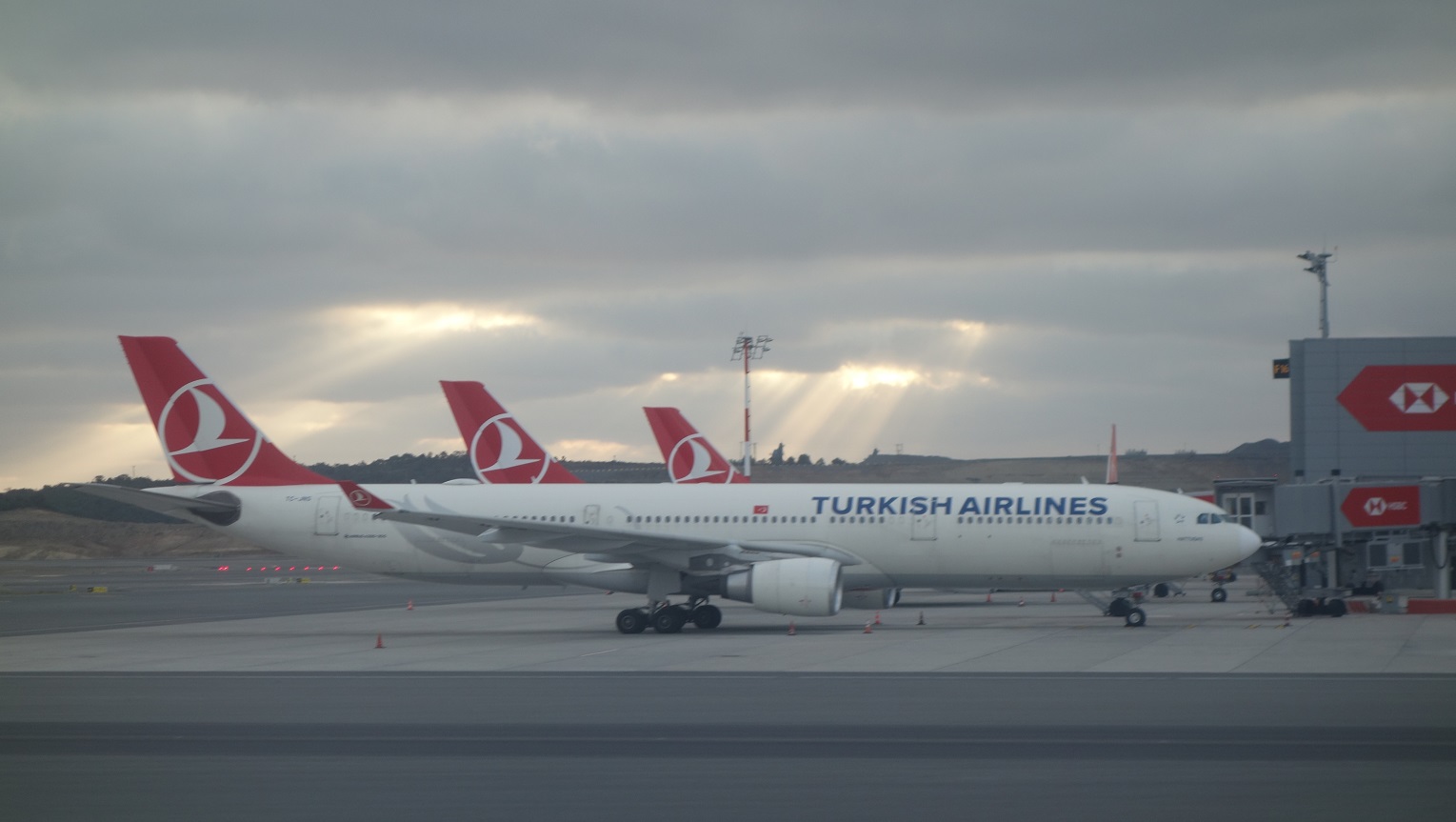 Turkish airlines горячая